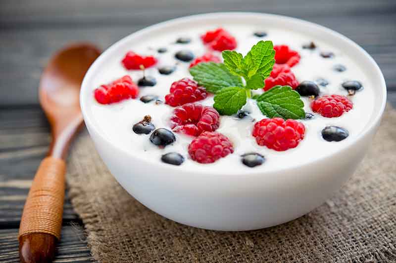 Slimway Recipes Desserts